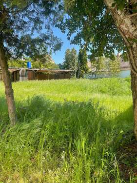 Foto - Wohnung zum Mieten in Brachstedt 1.500,00 € 156.57 m²