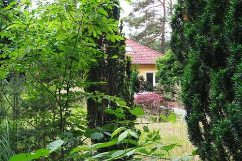 Foto - Haus zum Kaufen in Falkensee Falkenhagen 659.000,00 € 154 m²