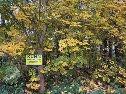 Foto - Grundstück zu verkaufen in Wendisch Rietz 199.000,00 € 1005 m²