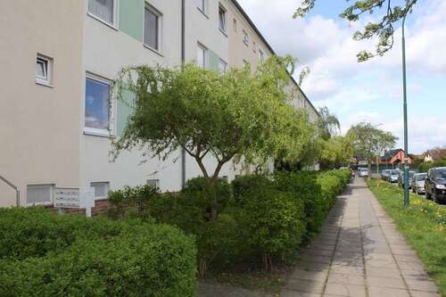 Foto - Wohnung zum Mieten in Brandenburg an der Havel 413,00 € 51.4 m²