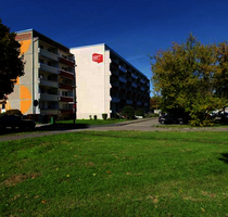 Wohnung zum Mieten in Dessau-Roßlau 330,00 € 56.82 m²