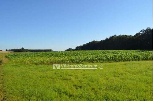 Foto - Spezialgewerbe in Beuerbach 75.000,00 € 13182 m²