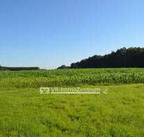 Spezialgewerbe in Beuerbach 75.000,00 € 13182 m²