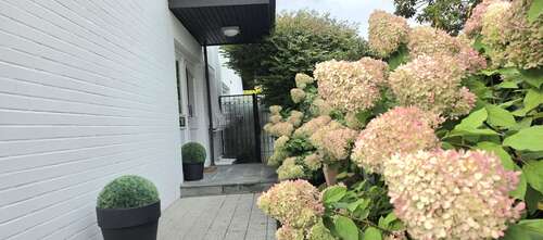 Foto - Wohnung zum Mieten in Herford 700,00 € 50 m²