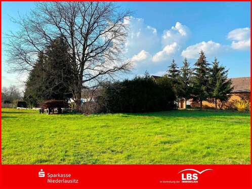 Foto - Grundstück zu verkaufen in Großräschen 34.000,00 € 1896 m²