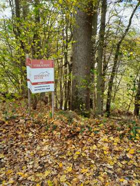 Foto - Grundstück zu verkaufen in Reichshof 125.000,00 € 1645 m²