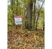 Grundstück zu verkaufen in Reichshof 125.000,00 € 1645 m²