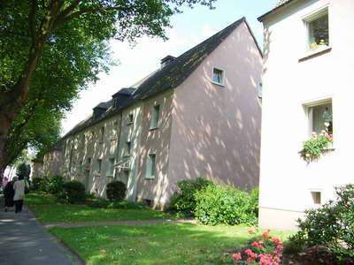 Foto - Wohnung zum Mieten in Bochum 329,00 € 40.37 m²