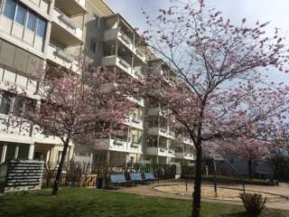 Foto - Wohnung zum Mieten in Gera 415,00 € 70.26 m²
