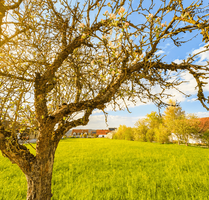 Grundstück zu verkaufen in Spalt 650.000,00 € 4000 m²