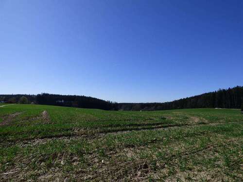 Foto - Grundstück in Altfraunhofen-Weihern 555.000,00 € 37100 m²