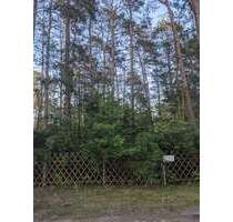 Grundstück in Borkwalde 53.000,00 € 1002 m²