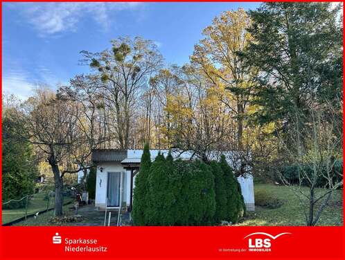 Foto - Haus zum Kaufen in Welzow 30.000,00 € 36 m²