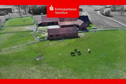 Foto - Haus zum Kaufen in Westerkappeln 435.000,00 € 150 m²