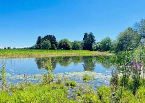 Foto - Haus zum Kaufen in Markdorf 890.000,00 € 90 m²