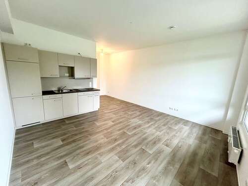 Foto - Wohnung zum Mieten in Chemnitz 260,00 € 30.4 m²