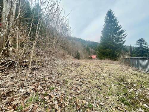 Foto - Grundstück zu verkaufen in Klingenthal 22.000,00 € 650 m²