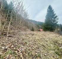 Grundstück zu verkaufen in Klingenthal 22.000,00 € 650 m²