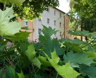 Wohnung zum Mieten in Rötha 695,00 € 115.86 m²