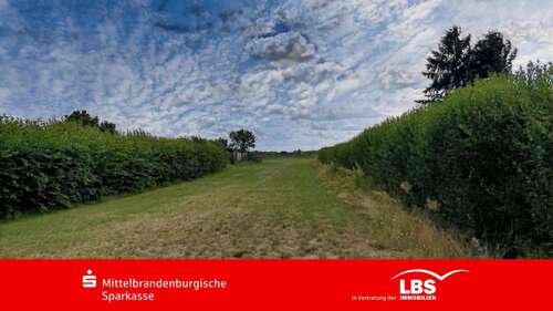 Foto - Grundstück zu verkaufen in Löwenberger Land 80.000,00 € 1327 m²