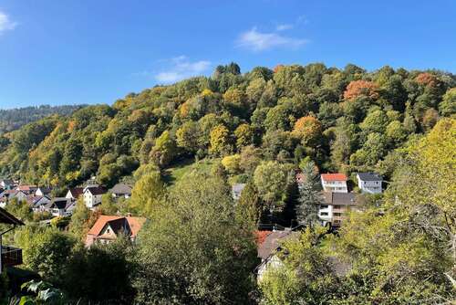 Foto - Grundstück zu verkaufen in Schönau 78.500,00 € 728 m²