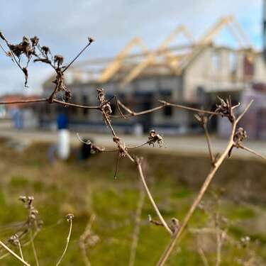 Foto - Grundstück zu verkaufen in Giesen Ahrbergen 132.500,00 € 500 m²