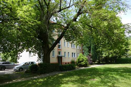 Foto - Wohnung zum Mieten in Groß Döbbern 377,60 € 59 m²