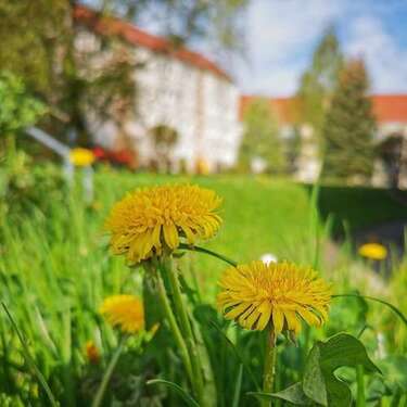 Foto - Wohnung zum Mieten in Freiberg 302,00 € 47 m²