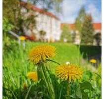 Wohnung zum Mieten in Freiberg 302,00 € 47 m²