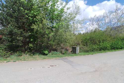 Foto - Grundstück zu verkaufen in Trippstadt 349.000,00 € 3260 m²