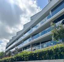 Wohnung zum Mieten in Dresden 730,00 € 56.13 m²