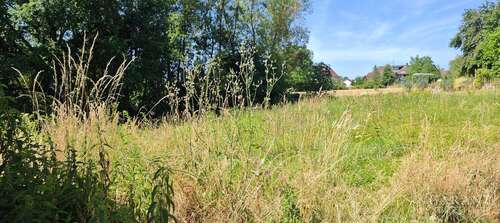 Foto - Grundstück zu verkaufen in Oberteuringen 470.000,00 € 858 m²