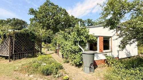 Foto - Haus zum Kaufen in Niemegk 49.500,00 € 23 m²