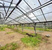 Grundstück in Großbottwar 5.880,00 € 500 m²