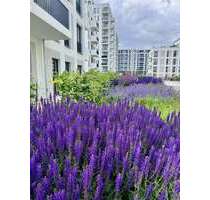 Wohnung zum Mieten in Berlin 1.059,00 € 48.13 m²