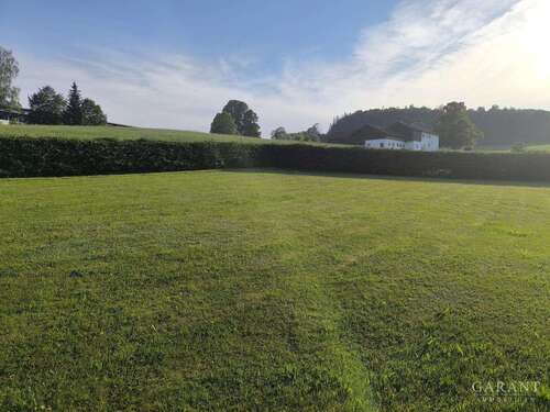 Foto - Grundstück zu verkaufen in Breitenberg 152.000,00 € 1539 m²