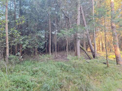 Foto - Grundstück in Söchtenau 53.000,00 € 13100 m²