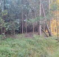 Grundstück in Söchtenau 53.000,00 € 13100 m²