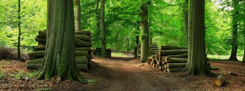 Foto - Grundstück in Ohlstadt 182.040,00 € 60680 m²