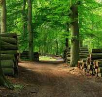 Grundstück in Ohlstadt 182.040,00 € 60680 m²