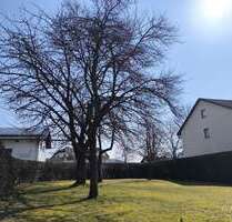 Grundstück zu verkaufen in Regen 120.000,00 € 560 m²