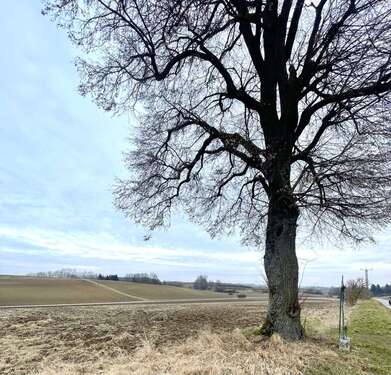 Foto - Spezialgewerbe in Pförring 258.786,00 € 15684 m²