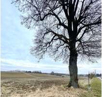 Spezialgewerbe in Pförring 258.786,00 € 15684 m²
