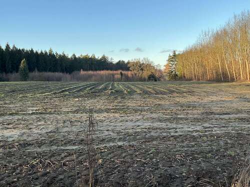 Foto - Spezialgewerbe in Eggermühlen 358.000,00 €