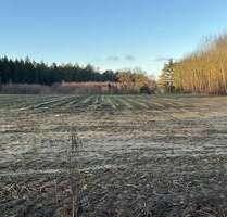 Spezialgewerbe in Eggermühlen 358.000,00 €