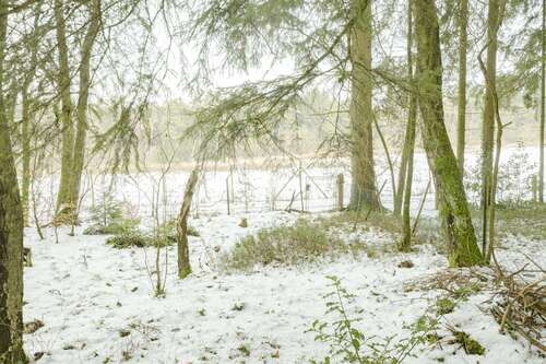 Foto - Grundstück zu verkaufen in Rade 245.000,00 € 2564 m²