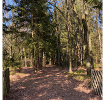 Grundstück zu verkaufen in Rade 245.000,00 € 2564 m²