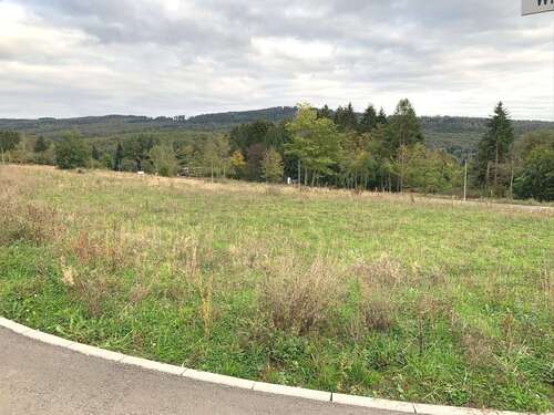 Foto - Grundstück zu verkaufen in Glashütten 330.000,00 € 600 m²