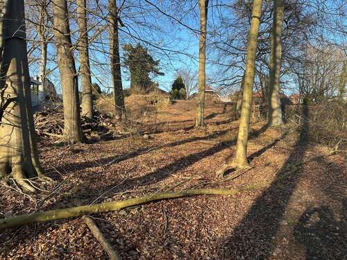 Foto - Grundstück zu verkaufen in Büchen 610.000,00 € 4645 m²