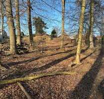 Grundstück zu verkaufen in Büchen 610.000,00 € 4645 m²